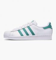 Adidas湖绿贝壳头>>