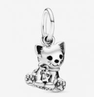 活动款-小猫咪