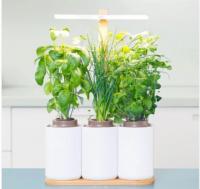 室内小花园