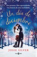 UN DÍA DE DICIEMBRE🔗