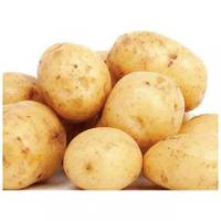 土豆1kg