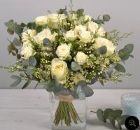 VERT COTON