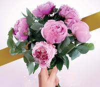 BELLES PIVOINES