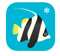 Peek-a-Zoo Underwater直达