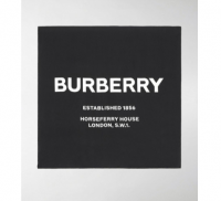 Burberry围巾