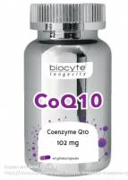 q10胶囊
