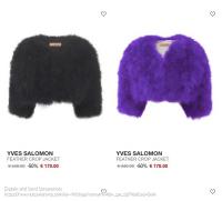 Yves Salomon专区