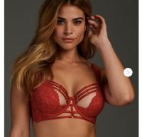 红色性感蕾丝Bra >>