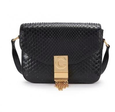 Celine蛇皮C Bag