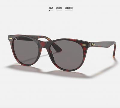 Wayfarer II墨镜