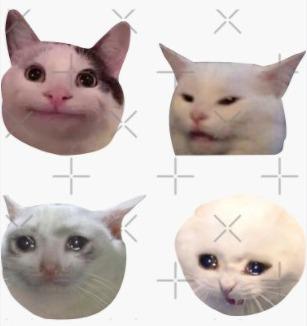 精神污染猫猫贴纸