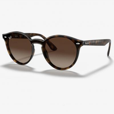 Ray-Ban男款玳瑁墨镜