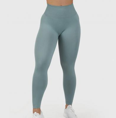 水苔绿无缝Legging
