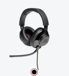JBL Quantum 300