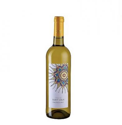 Domaine Saint Cels BIO 2021