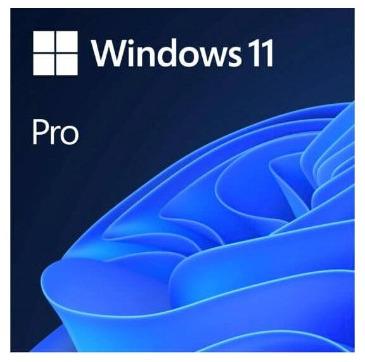 Windows11专业版