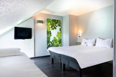 IBIS STTABOURG SUD LA VIGIE 三星酒店