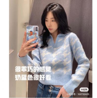 V领蓝白千纸鹤针织