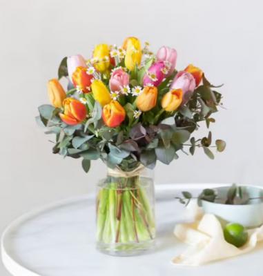 郁金香花束
