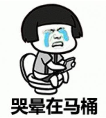 一个落地式的智能马桶