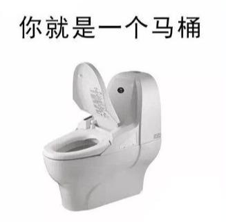 一个白金豪华款智能马桶