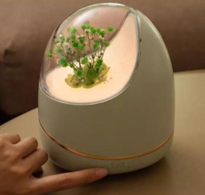 西蓝花精油加湿器