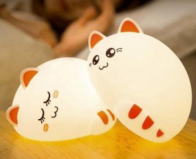 小猫🐱战士