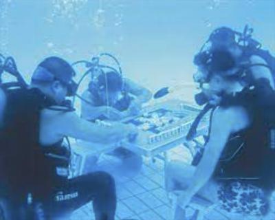 血流成河换三张