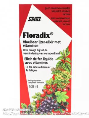 Floradix液体补铁液
