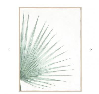 热带植物装饰画
