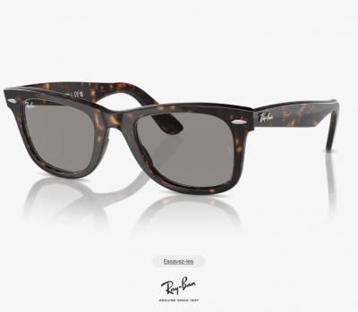 Ray-Ban RB2140玳瑁色