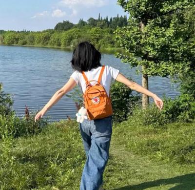 mini号北极狐橘色