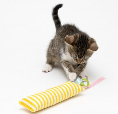 猫用带猫薄荷的玩具火箭