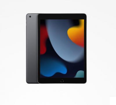 Ipad 10.2英寸256GB
