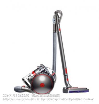 Big Ball Absolute 2 吸尘器