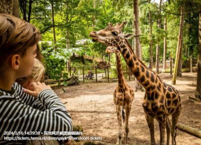 DierenPark Amersfoort