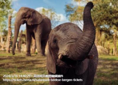 Safaripark Beekse Bergen