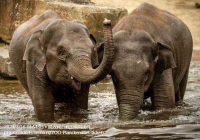 ZOO Planckendael