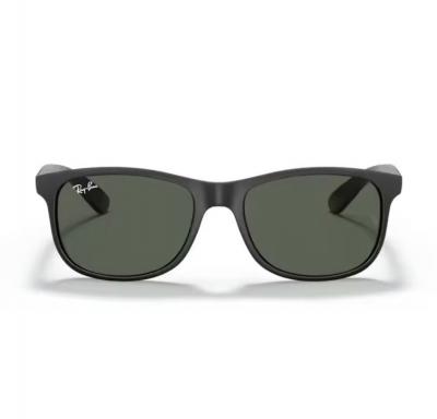 Ray Ban 0RB4202