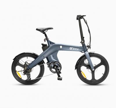 DYU T1 20 Inch 智行车