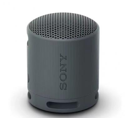 SONY SRS-XB100 扬声器