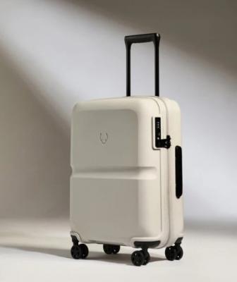 单条纹 登机箱