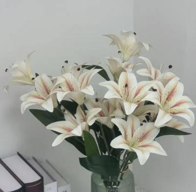 白百合