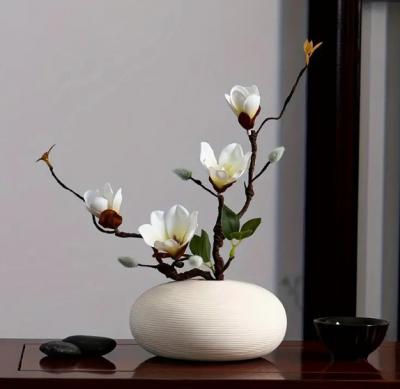玉兰花