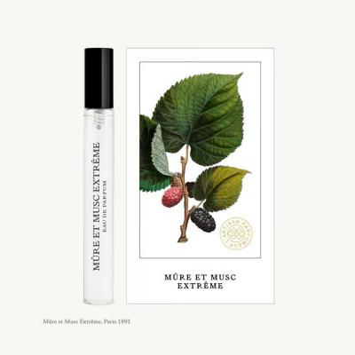 黑莓缪斯 10ml