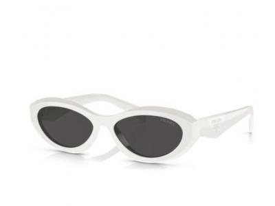 Prada26Z墨镜