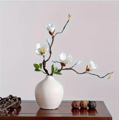 木兰花