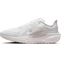 Pegasus 41 GORE-TEX