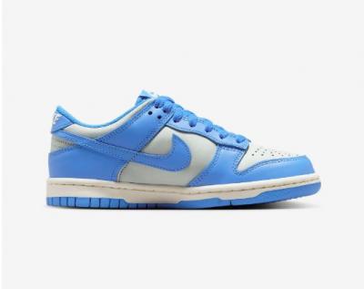 Dunk Low 蓝白运动鞋
