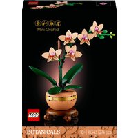 兰花